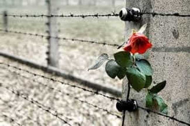 giorno memoria