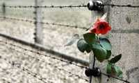 giorno memoria