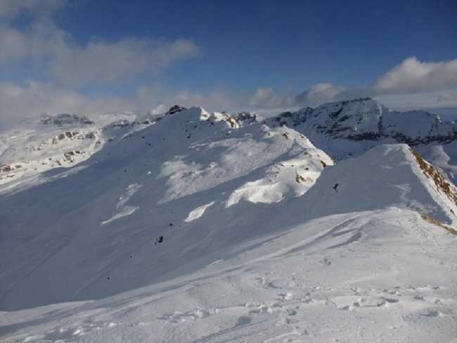 gitacai22 gennaio700