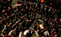 gmo orchestra