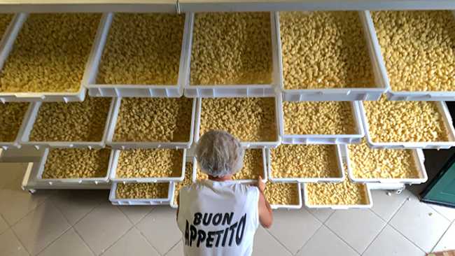 gnocchi sagra patata 19