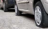 gomme terra