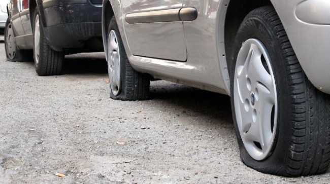 gomme terra