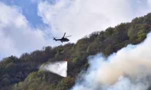 gordola fiamme