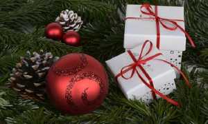 gozzano17dicembre700