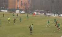 gozzano bra