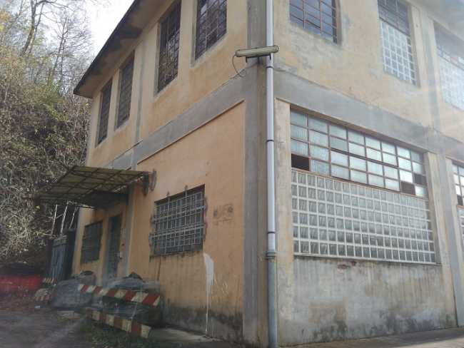 grassi700