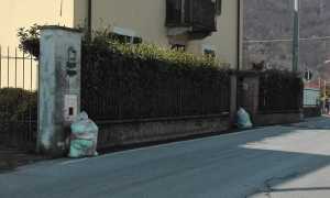 gravellona raccolta nero