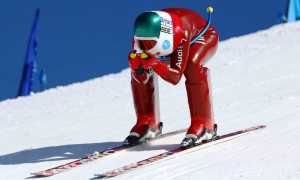 greggio v 19