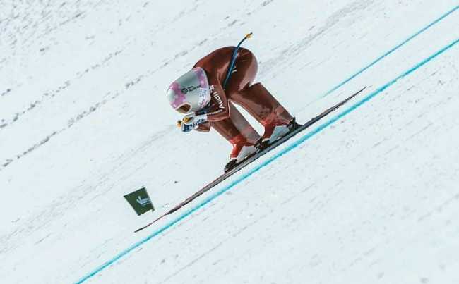 greggio vars