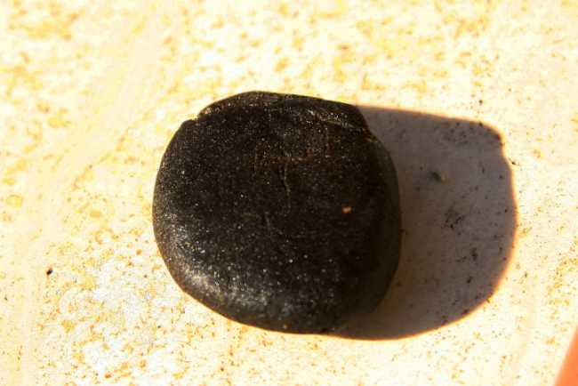 hashish droga