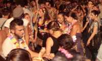 hawai festa