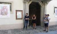 herbarium 1