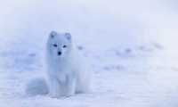 iceland ge4510228f 640
