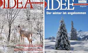 idea copertine dicembre 22