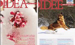 idea feb 19 mix