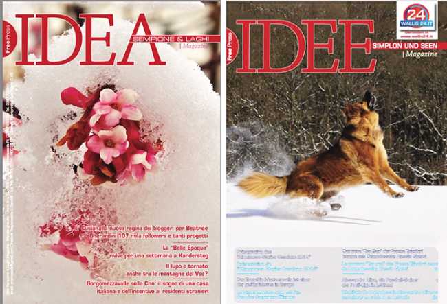 idea feb 19 mix