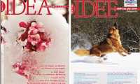 idea feb 19 mix