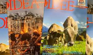 idea luglio 2019