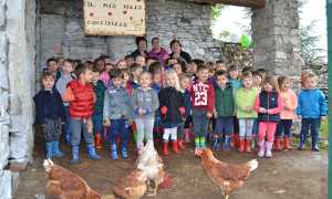 il pollaio delle coccinelle crevola DSC 0006