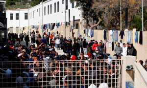 immigrati