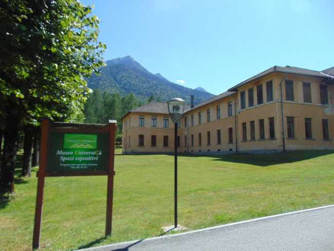 inaugurazione viva01 1024x768