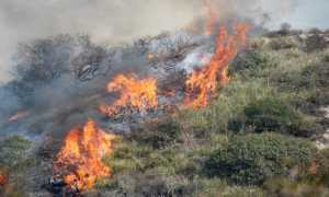 incendi 1