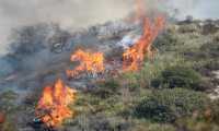 incendi 1
