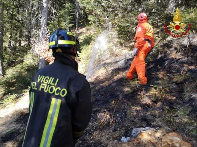 incendio bosco00002
