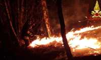 incendio bosco