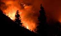 incendio 2019