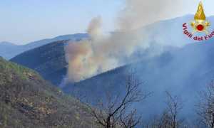 incendio bis cicogna