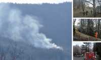 incendio bosco domo