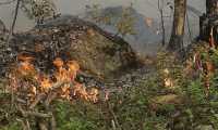 incendio bosco