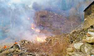 incendio bosco parco volontari aib