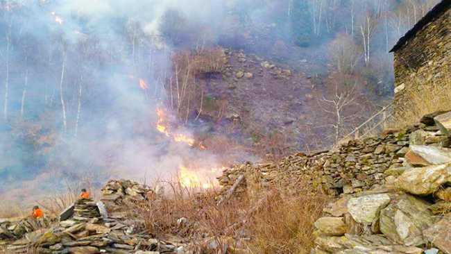 incendio bosco parco volontari aib