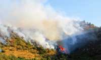 incendio bosco prato fumo