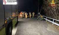incendio gambarogno due 5