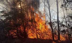 incendio