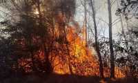 incendio