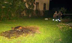 incendio intra centrale elttrica