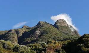 incendio megolo agosto 20