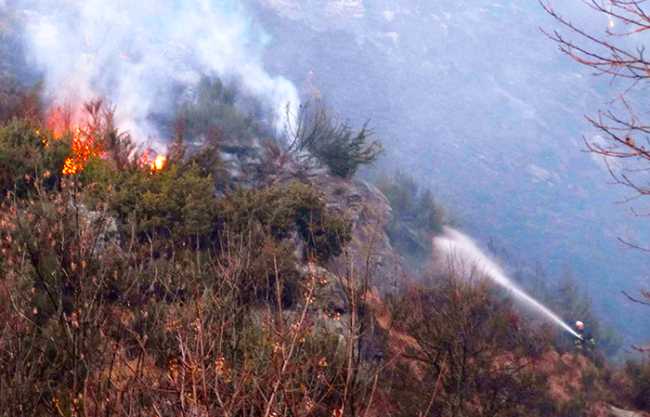 incendio vigezzo fuoco vigile