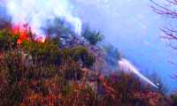 incendio vigezzo fuoco vigile