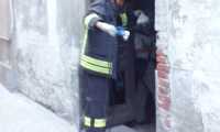 incendiobarboss