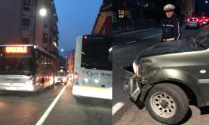 inci cobia bus