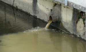 inquinamento generico