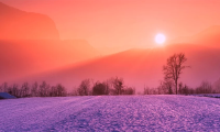 inverno sole alba