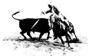 invito mostra ottoperdieci