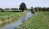 irrigare campagna